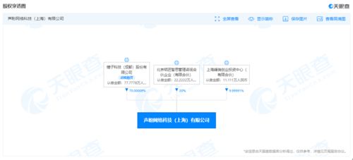 錘子科技再陷服務合同糾紛，百元執行背后的企業困境與警示